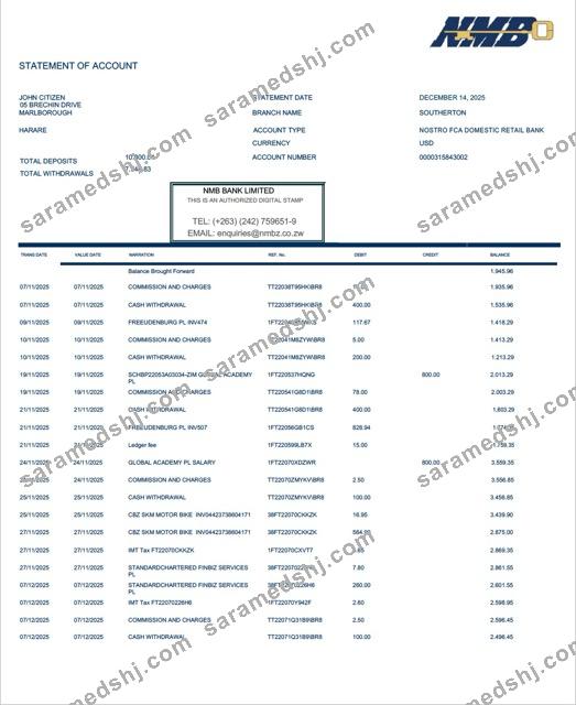Zimbabwe NMB Bank statement of account Word and PDF template